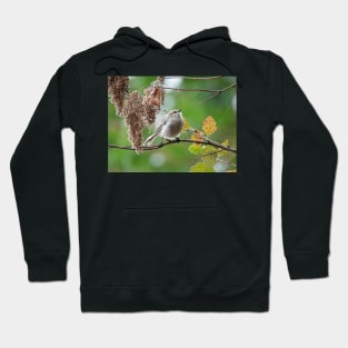 Tiny bird Hoodie